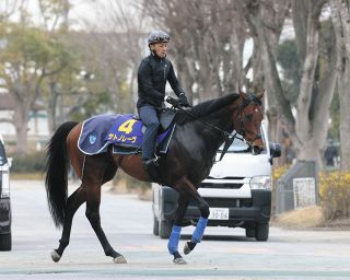 セレクトセール2025】ノームコア2024に4．1億円 金子真人HD（株）が