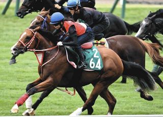 オルフェーヴル　鬣 オルフェーヴルの戦績データ | 競馬ラボ