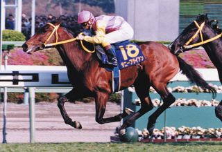ハーツクライ死す 22歳 2005年の有馬記念、06年のドバイシーマ