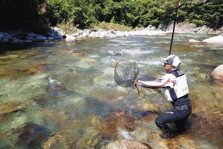 奥飛騨で宝探し　岐阜県高山市上宝町の双六川