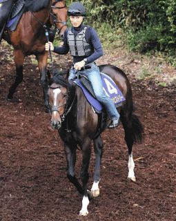 【キムラヨウヘイさんコラム】近年の菊花賞、前走から間隔の空いた馬が好走　メンバー中で最も間隔が空くダノンヒストリー本命　ロブチェンも外せない一頭