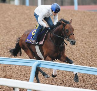 【菊花賞】サノノグレーターは坂路2本駆け上がり調整　尾形師「体調はいいと思いますよ」