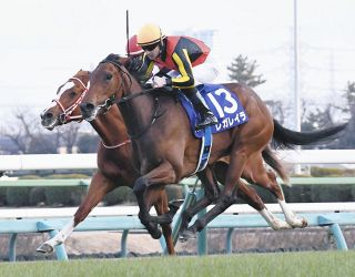 有馬記念】代打男・池添謙一の執念は実らず…カレンブーケドールは５着 