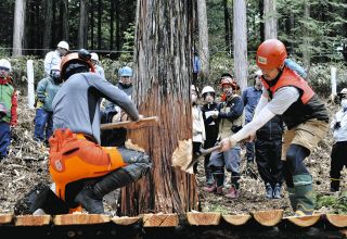 式年遷宮へ三ツ緒伐りの練習　加子母で保存会が6月の伐採式控え