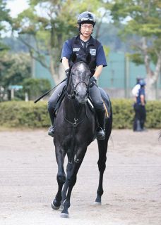 出品11/30まで☆角田淳☆ 競馬】角田大河騎手、車で函館競馬場の芝コース侵入 松若風馬