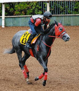 もはや『純白の怪物』驚異レコードで勝ったソダシを吉田隼絶賛「話題