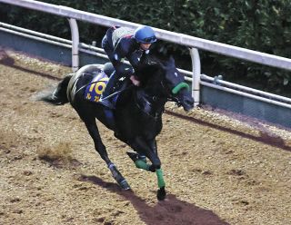 昭和52年 宝塚記念 トウショウボーイ 武邦彦 昭和52年 宝塚記念 トウショウボーイ 武邦彦 第21回 有馬記念