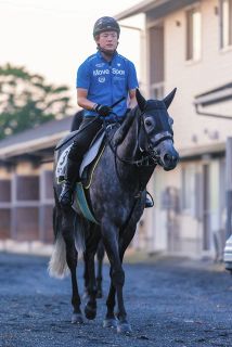 S|デアリングタクト 20年3冠牝馬デアリングタクト、体部繋靱帯炎再発で引退…繁殖入り