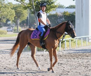 藤田菜七子　師匠　根本康広調教師　騎手サイン　日本ダーピー 藤田菜七子 師匠 根本康広調教師 騎手サイン 日本ダーピー 藤田