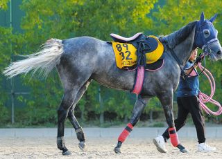 4番人気のタスティエーラが快勝 D・レーン騎手はダービー初制覇
