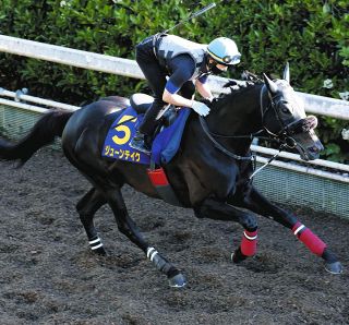 有馬記念・公開枠番抽選】タスティエーラまさかの8枠16番 堀師