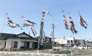 優雅になびくこいのぼりの大群　飯田の小島さん、自宅にポールで飾る