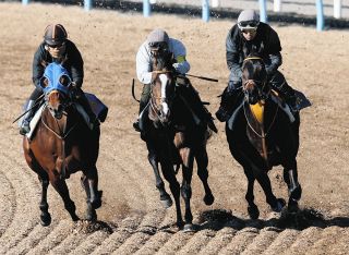 オグリにディープ…名馬がズラリ並ぶ切手発行 競馬法100周年記念【中央競馬】競馬法100周年：中日スポーツ・東京中日スポーツ