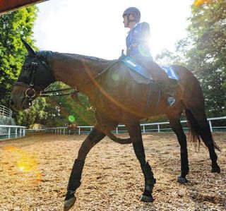 03年スティルインラブ以来の「紅梅S＆桜花賞」W勝利へ…成長中の