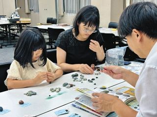自由研究 標本に迫る　富山市科博館 相談会