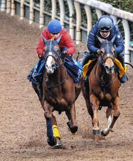 有馬記念】カレンブーケドールにとって5枠『10番』は「ラッキーナンバー」池添の勝負強さに期待：中日スポーツ・東京中日スポーツ