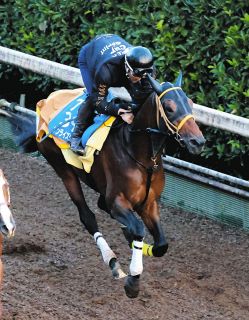 松岡がJRA通算900勝達成…史上53人目、現役23人目「周りの方