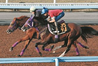 日本ダービー】ダノンデサイルは3枠5番 安田師「とにかく無事に