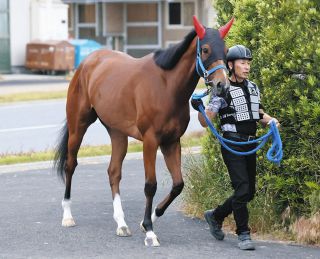 皐月賞】エフフォーリアが無傷4連勝で圧巻V「最高です」初G1制覇の横山