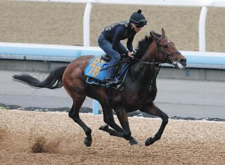 2000年のダービー馬アグネスフライトが老衰で死ぬ 26歳 ：中日スポーツ