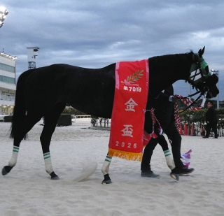 ブラックタイド 皐月賞 ブラックタイド (Black Tide) | 競走馬データ