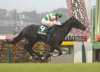【アルテミスS】直線押し切った1番人気プルヴィナル2連勝で重賞初制覇飾る