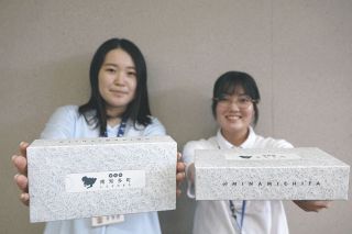 シラスの町のティッシュだよ　南知多 箱に隅々までプリント