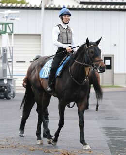 競馬】パンサラッサが引退、種牡馬入り 大逃げで沸かせたジャパンCが