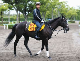 アネモネS・傾向と対策】3度の馬連万馬券＆4度の3連単10万超…波乱傾向