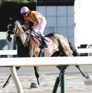 藤田菜七子G1初勝利今度こそ コパノキッキングと「リベンジを」昨年