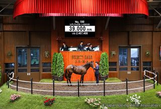 セレクトセール】当歳馬のトップバッターは2億円で落札、キタサン