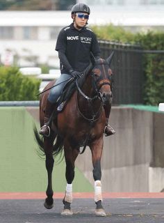 中央競馬】今村聖奈が17戦目で初勝利 阪神8R、5番人気ブラビオで直線