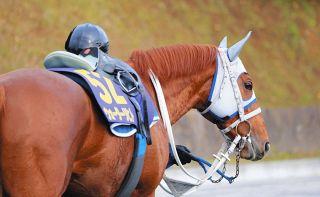 迫る新種牡馬産駒の2歳馬デビュー サトノダイヤモンドらに加えて実績