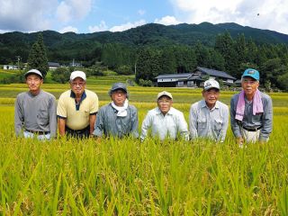 令和の米騒動の中、岐阜の零細農家が生んだ「清水１号」に注目　開発の裏に「試験場にはない感度」