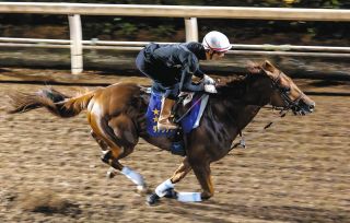 イクイノックス電撃引退、世界一の馬は世界一のまま… 通算10戦8
