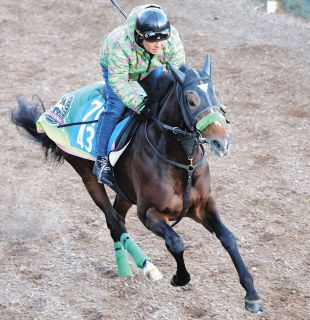 テウメッサは未勝利戦＆アネモネSから一転7枠13番と外め枠 金成師は意