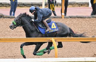 有馬記念】⑩カレンブーケドールは「予定通り、順調に仕上がった
