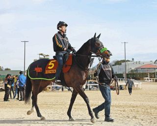 オグリにディープ…名馬がズラリ並ぶ切手発行 競馬法100周年記念