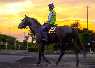 【消せる馬・菊花賞】キタサンブラック産駒、キャリア9戦以上、前走10着以下はいずれも苦戦　条件クリアは三冠かかるロブチェンら5頭