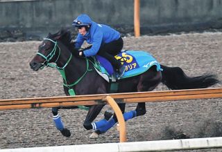 有馬記念14着以来となるプラダリア　京都外回りは2走前に京都大賞典Vと好相性【京都記念追い切り】