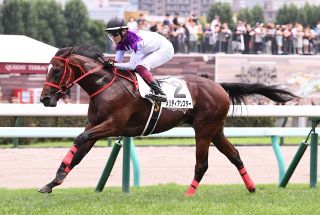 2000年のダービー馬アグネスフライトが老衰で死ぬ 26歳 ：中日スポーツ