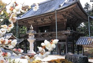 ï¼œå®¶åº·å½©ã€…ï¼žã€€ã²ã£ãã‚Šã€€æ—¥å…‰ã®ç¯‰æ³•