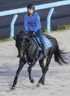 【ブリーダーズC】ディープモンスター現地ダートコースで追い切る