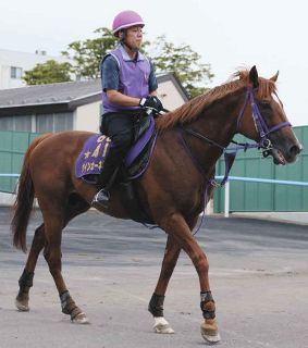 中央競馬】今村聖奈が17戦目で初勝利 阪神8R、5番人気ブラビオで直線