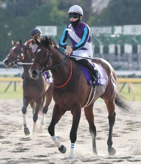 ダート路線の再整備で今後あり得る「海外遠征馬は地方所属馬だけ」　馬券の発売にも問題が起こる