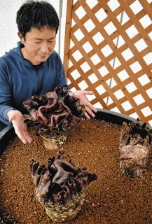 従軍写真家・故柳田芙美緒さん 護国記念館で最後の個展：中日新聞