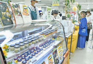 越前和紙で型破りアート 福井の青木さん：日刊県民福井Web
