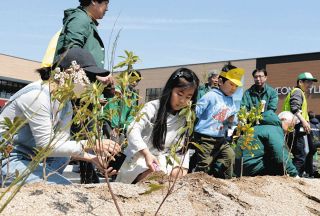 樹木36種2500本を植樹　25日オープンのイオンタウン松阪船江で催し