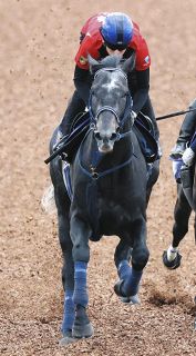 【天皇賞・秋1週前】リアライズシリウスは美浦W2頭併せでラスト11秒0同入　津村騎手「マスカレードが相手でも劣らない動き」