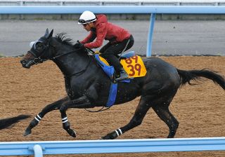 2002年皐月賞馬、ノーリーズン死す 25歳 通算12戦3勝：中日スポーツ